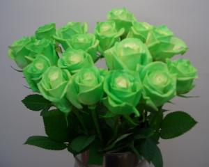 e3839ee382b8e38383e382afe383abe3839fe381ade382b0e383aae383bce383b3