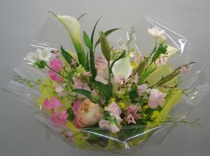 3efbc8f7e5bea1e8a68be8889ee38184e382a2e383ace383b3e382b8