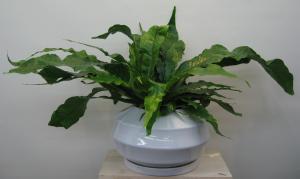 e382afe383ade382b3e38380e382a4e383abe38395e382a1e383bce38293