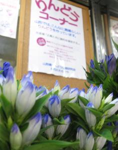 1005e3828ae38293e381a9e38186