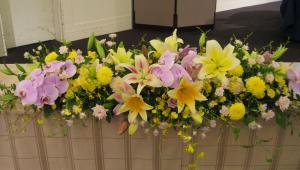 6e69c88e3839be382afe383a8e382a6e5928ce383a1e382a4e383b3