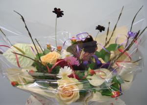 20101109e382a2e383ace383b3e382b8