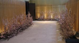 2011125sakurae585a5e58fa31