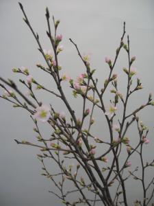 efbc92efbc8cefbc90efbc91efbc91efbc8e12e6a19c1