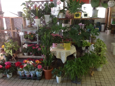 「花のえちごや」　（山形県米沢市）の花屋店舗写真3