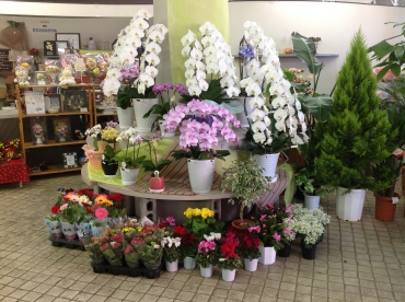 「花のえちごや」　（山形県米沢市）の花屋店舗写真2
